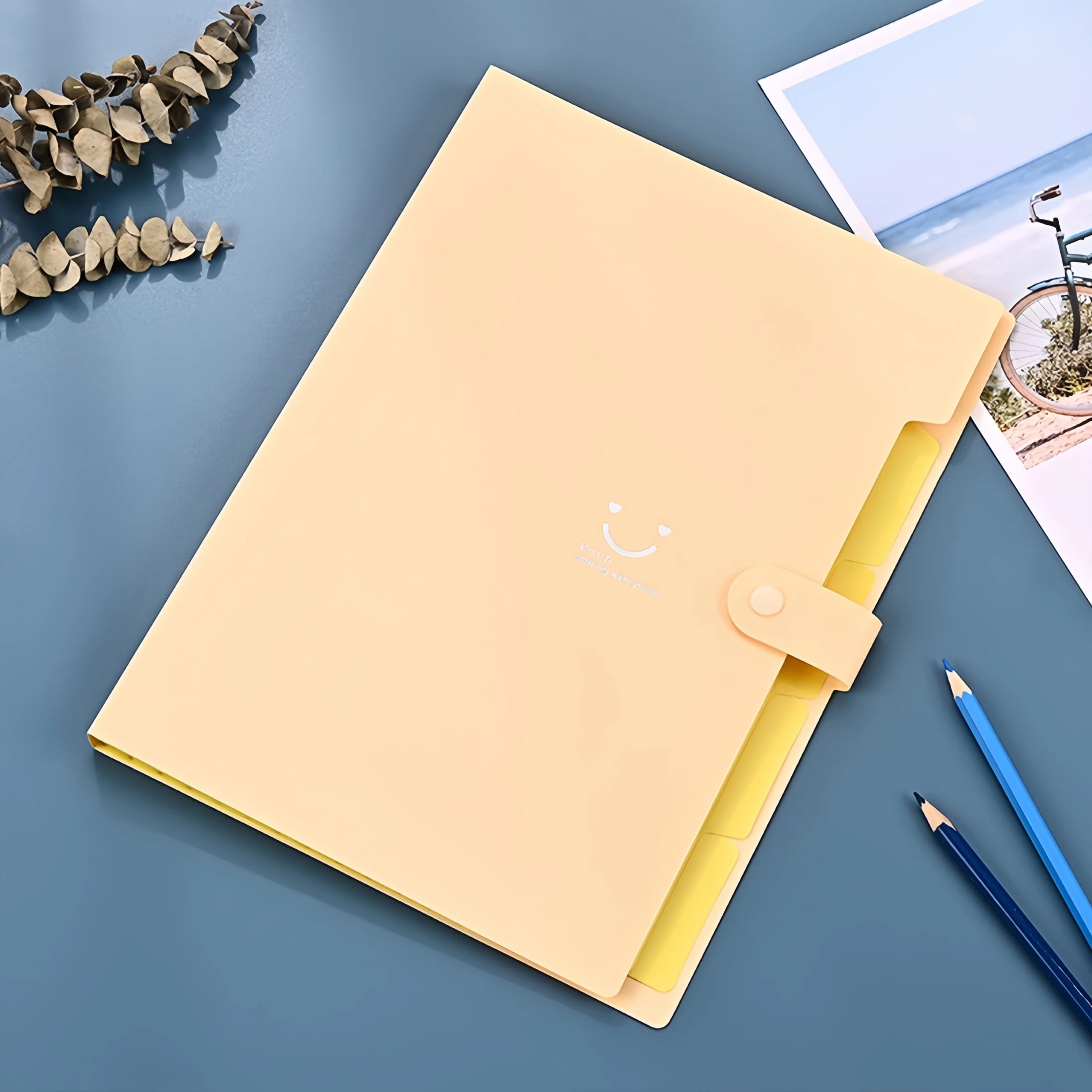 Carpeta Organizadora A4 de 5 Compartimentos – Mantén Todos tus Documentos en Orden