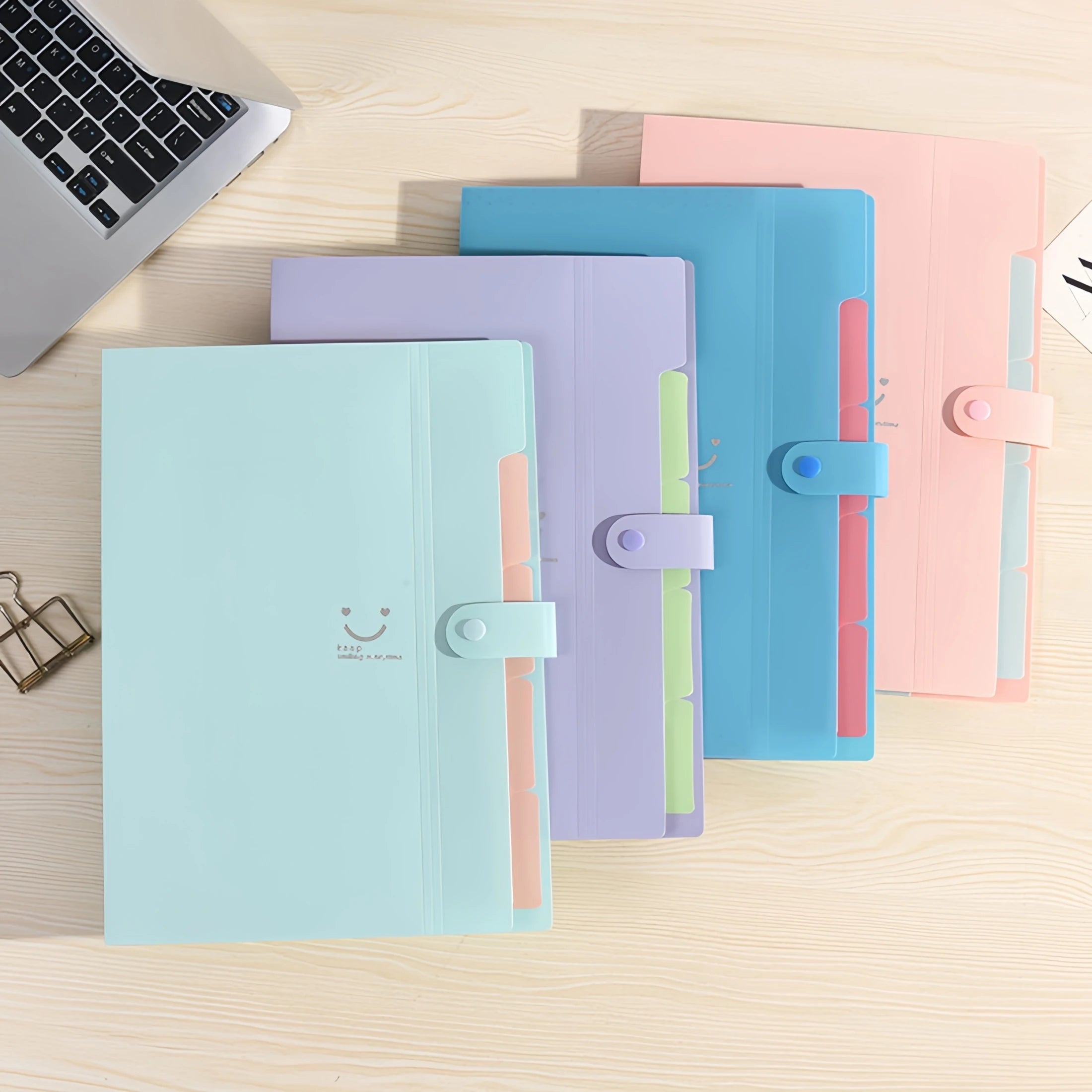 Carpeta Organizadora A4 de 5 Compartimentos – Mantén Todos tus Documentos en Orden