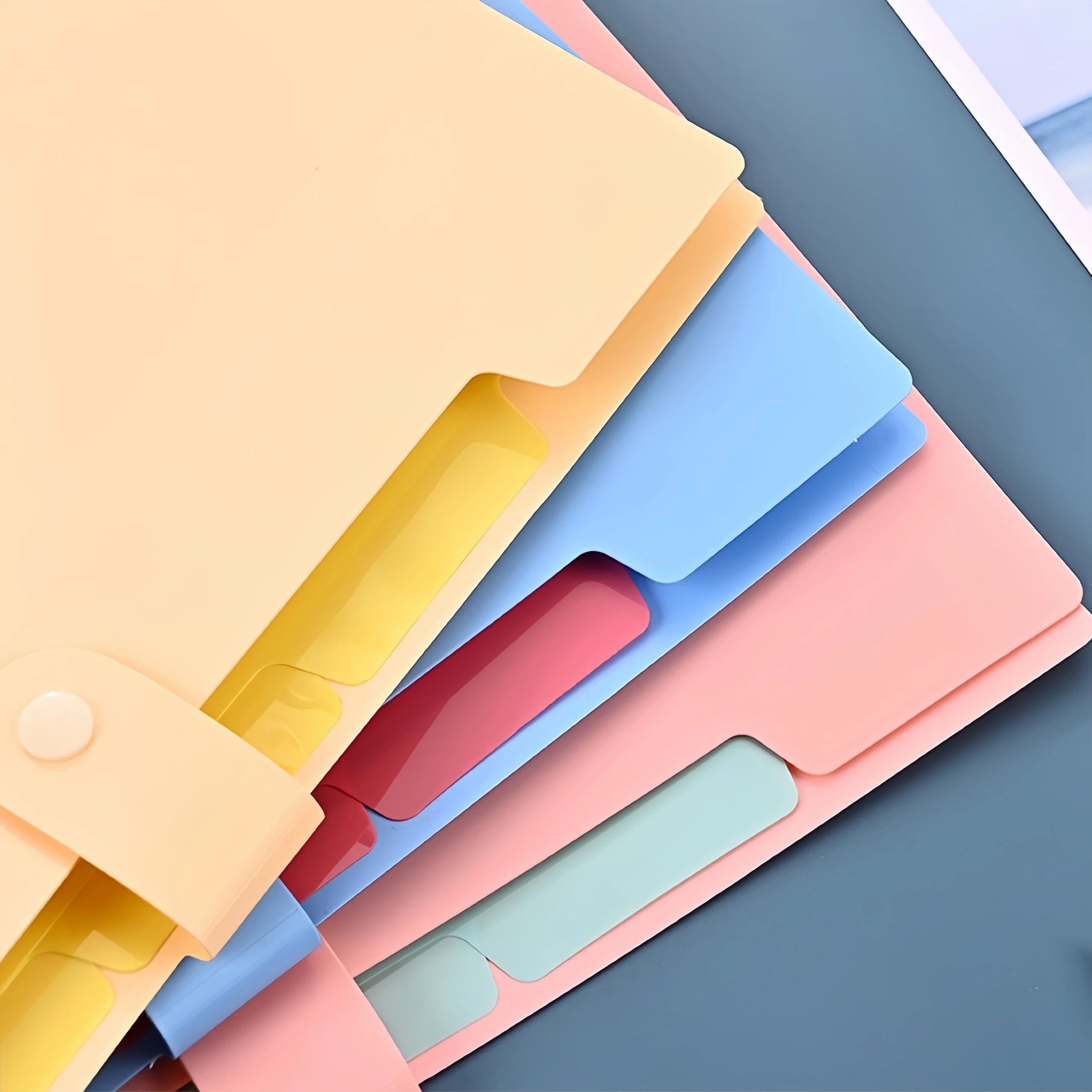 Carpeta Organizadora A4 de 5 Compartimentos – Mantén Todos tus Documentos en Orden